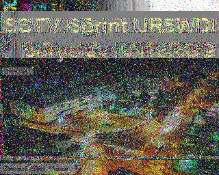 202504041838.jpg